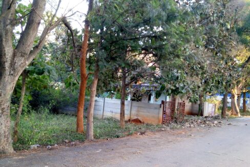 WhatsApp Image 2025-01-31 at 1.57.15 PM (1)