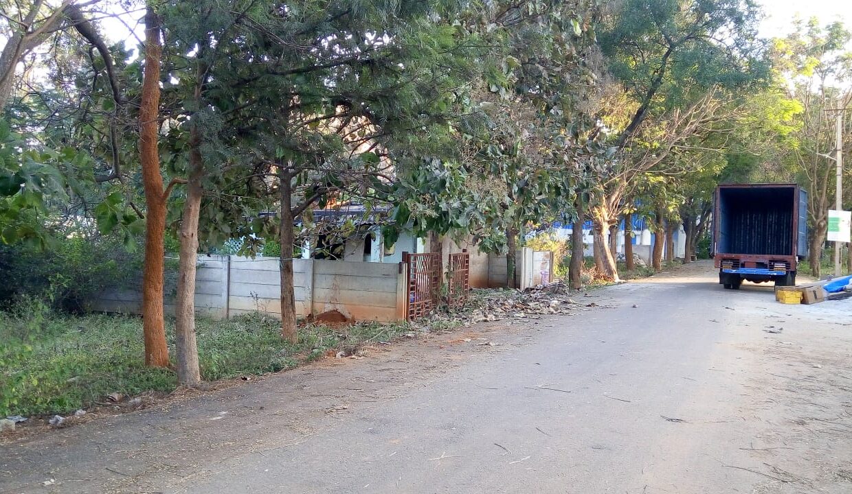 WhatsApp Image 2025-01-31 at 1.57.17 PM