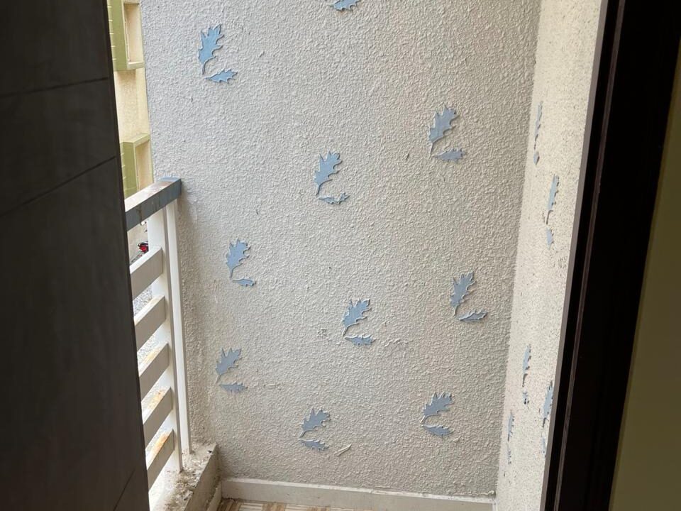 WhatsApp Image 2025-01-31 at 6.53.49 PM