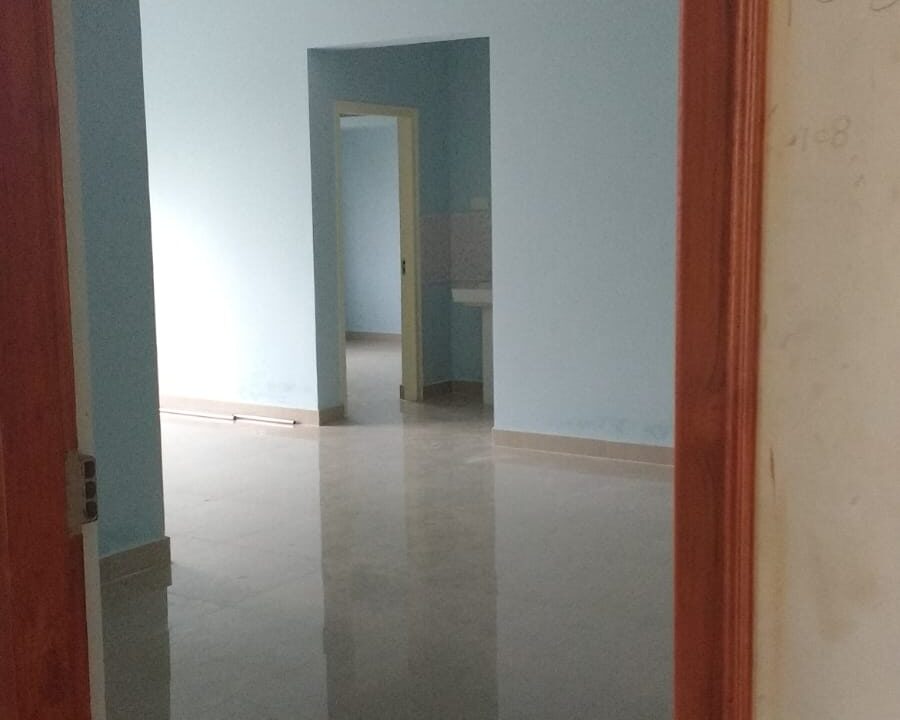 WhatsApp Image 2025-02-06 at 12.58.56 PM