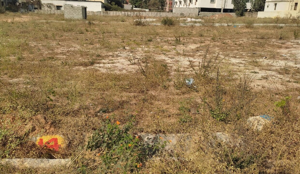 WhatsApp Image 2025-02-09 at 11.48.22 AM