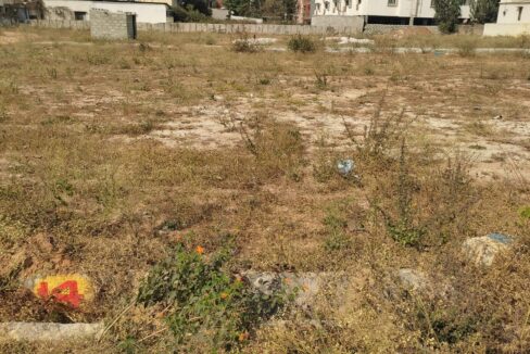 WhatsApp Image 2025-02-09 at 11.48.22 AM