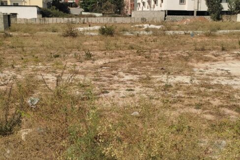 WhatsApp Image 2025-02-09 at 11.48.29 AM