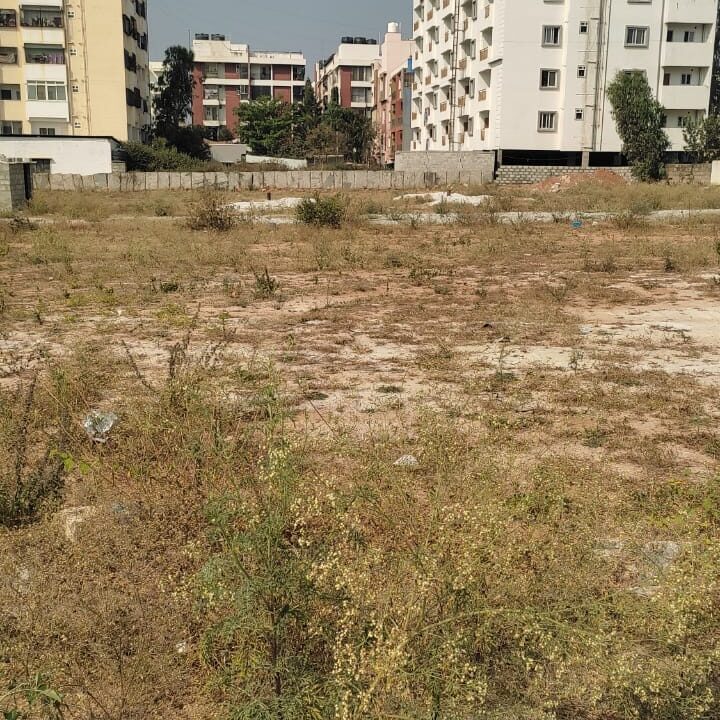 WhatsApp Image 2025-02-09 at 11.48.29 AM