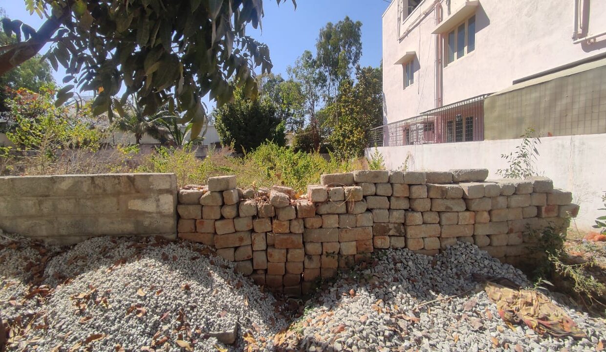 WhatsApp Image 2025-02-12 at 2.43.06 PM (1)