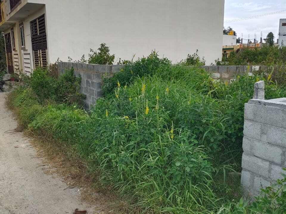 WhatsApp Image 2025-02-12 at 4.33.25 PM (1)