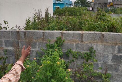 WhatsApp Image 2025-02-12 at 4.33.26 PM (1)