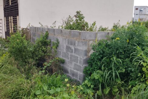 WhatsApp Image 2025-02-12 at 4.33.26 PM (2)