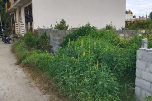 WhatsApp Image 2025-02-12 at 4.33.26 PM