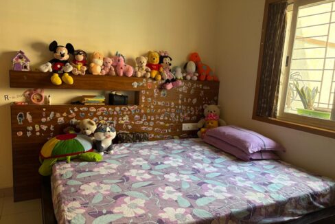 WhatsApp Image 2025-02-13 at 1.27.18 PM