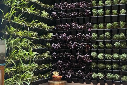 WhatsApp Image 2025-02-17 at 1.26.01 PM