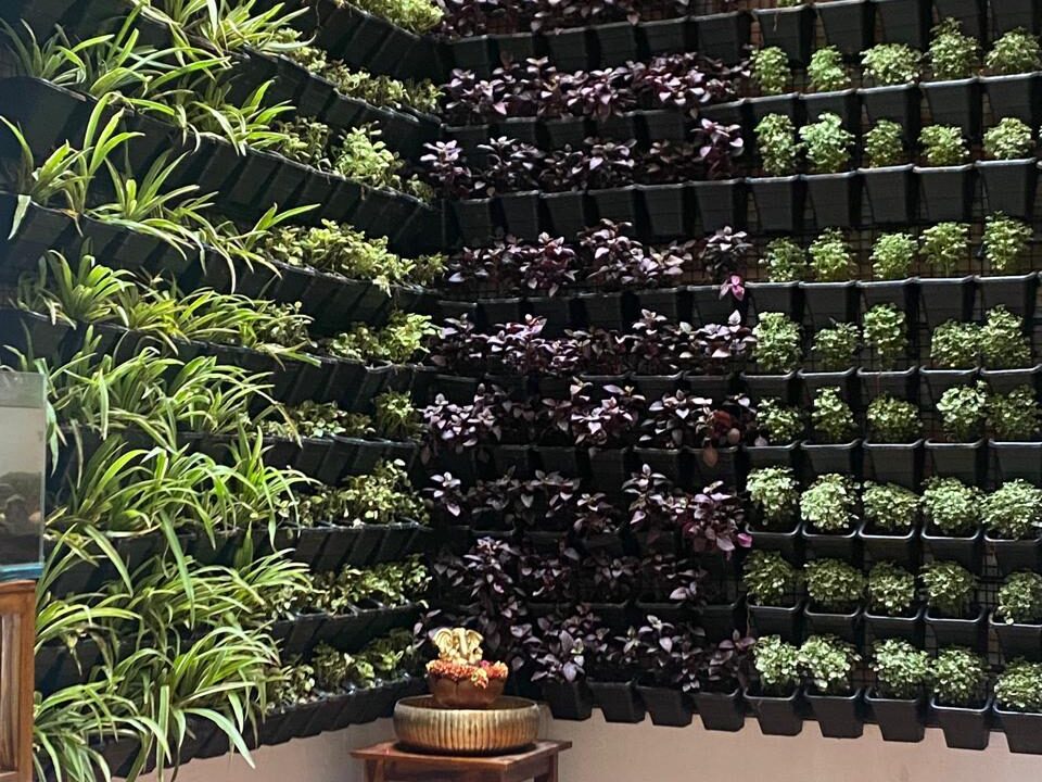 WhatsApp Image 2025-02-17 at 1.26.01 PM