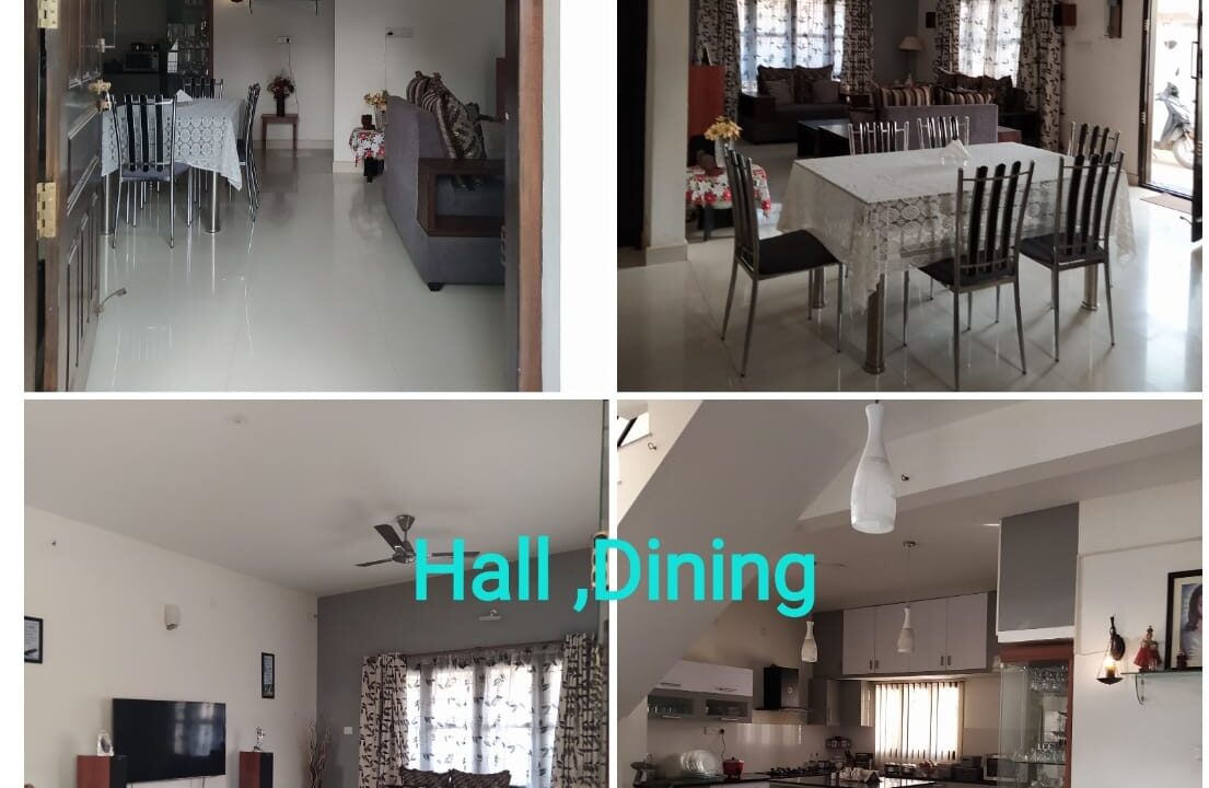 WhatsApp Image 2025-02-19 at 6.54.53 PM