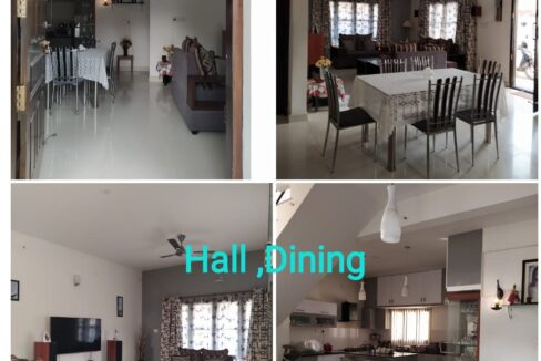 WhatsApp Image 2025-02-19 at 6.54.53 PM