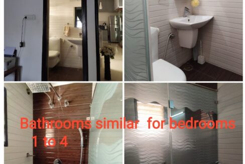 WhatsApp Image 2025-02-19 at 6.54.54 PM