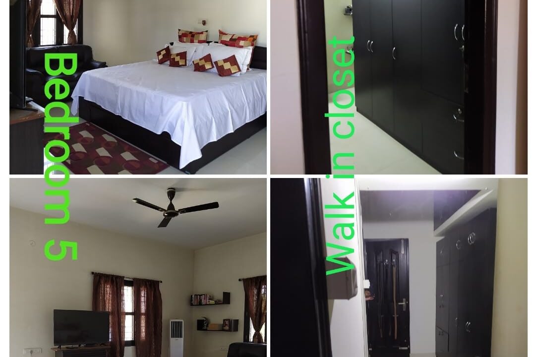 WhatsApp Image 2025-02-19 at 6.54.56 PM