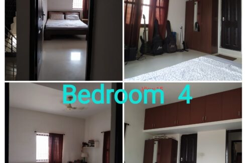 WhatsApp Image 2025-02-19 at 6.54.57 PM