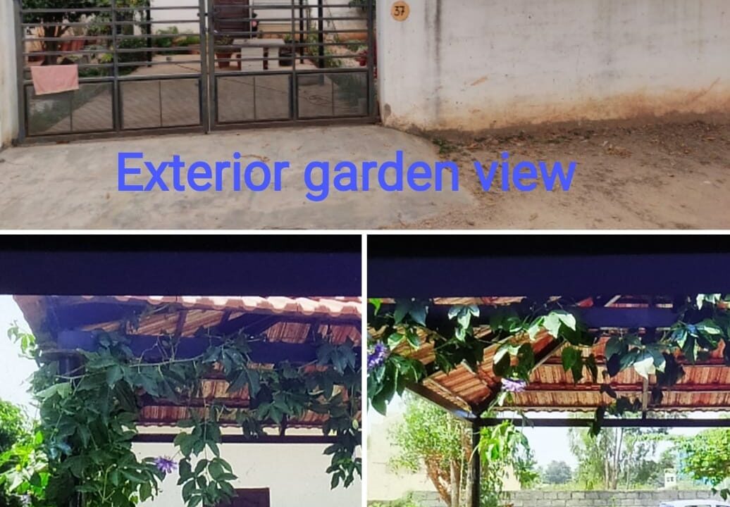 WhatsApp Image 2025-02-19 at 6.54.59 PM