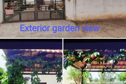 WhatsApp Image 2025-02-19 at 6.54.59 PM