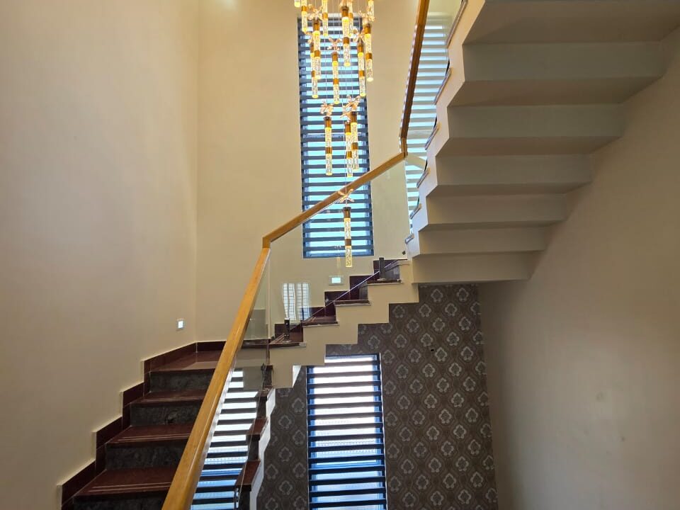 WhatsApp Image 2025-02-20 at 5.02.58 PM