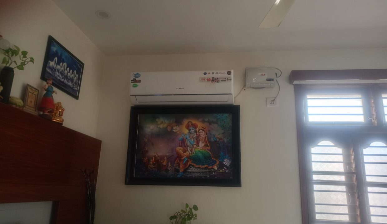 WhatsApp Image 2025-02-25 at 11.34.04