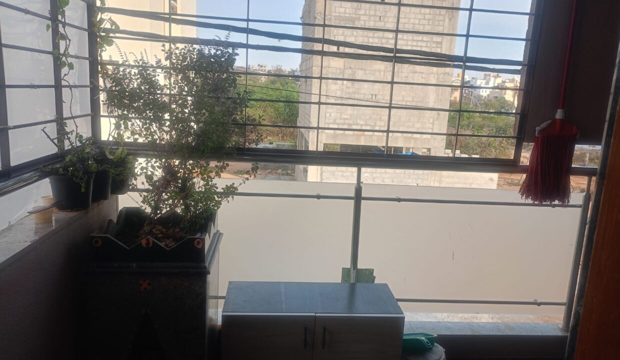 WhatsApp Image 2025-02-25 at 11.34.13 (1)