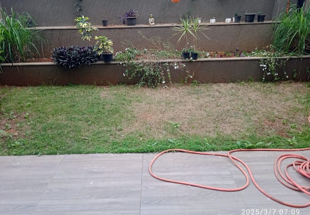 WhatsApp Image 2025-03-07 at 11.54.33 AM