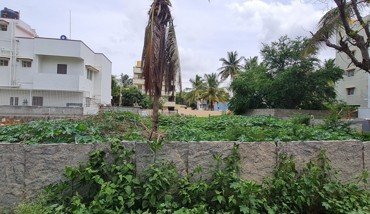 WhatsApp Image 2025-03-08 at 3.25.55 PM (2)