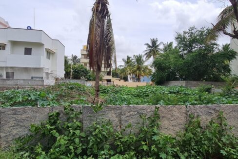 WhatsApp Image 2025-03-08 at 3.25.55 PM (2)