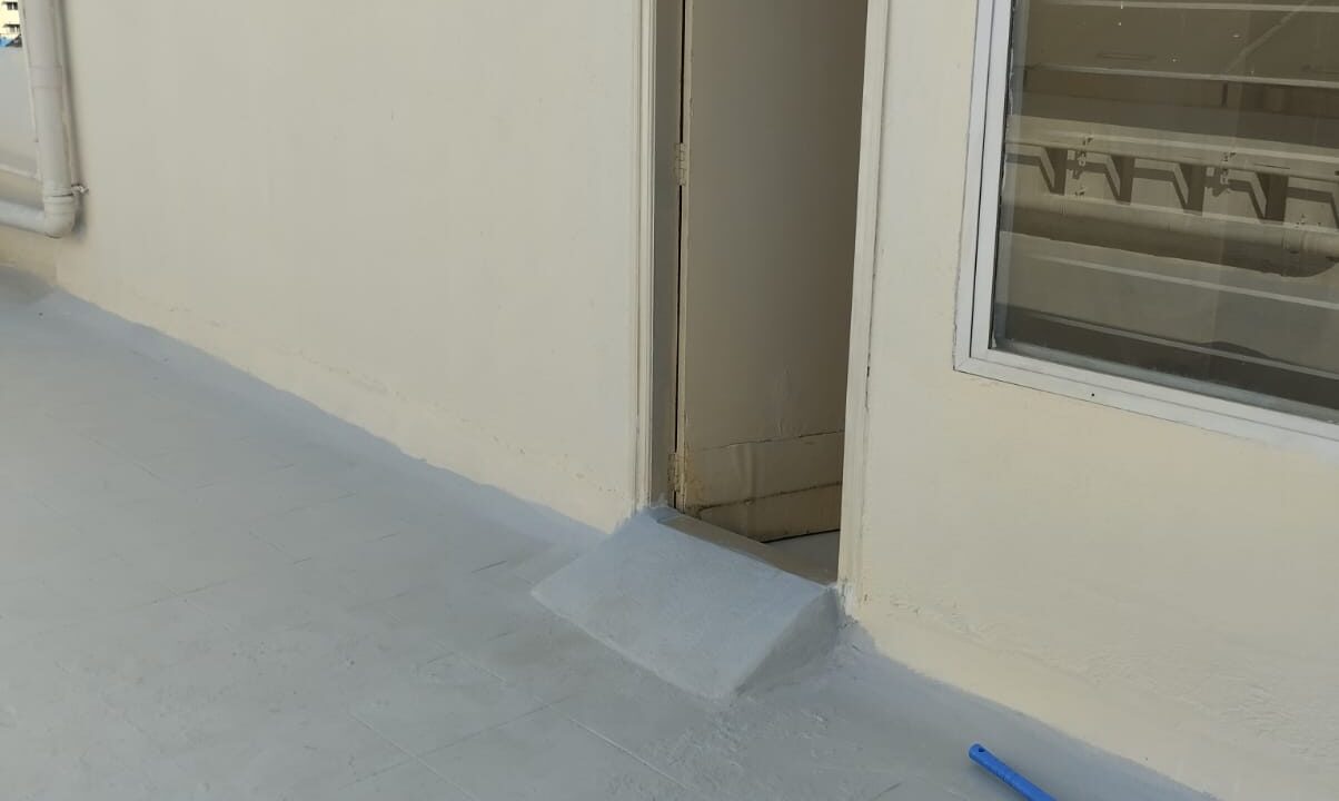 WhatsApp Image 2025-03-11 at 1.16.24 PM (1)