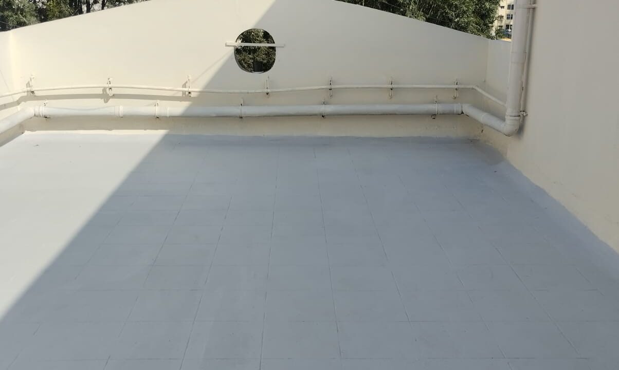 WhatsApp Image 2025-03-11 at 1.16.24 PM (2)