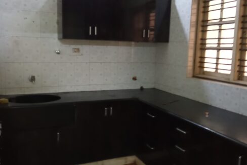 WhatsApp Image 2025-03-11 at 1.46.52 PM