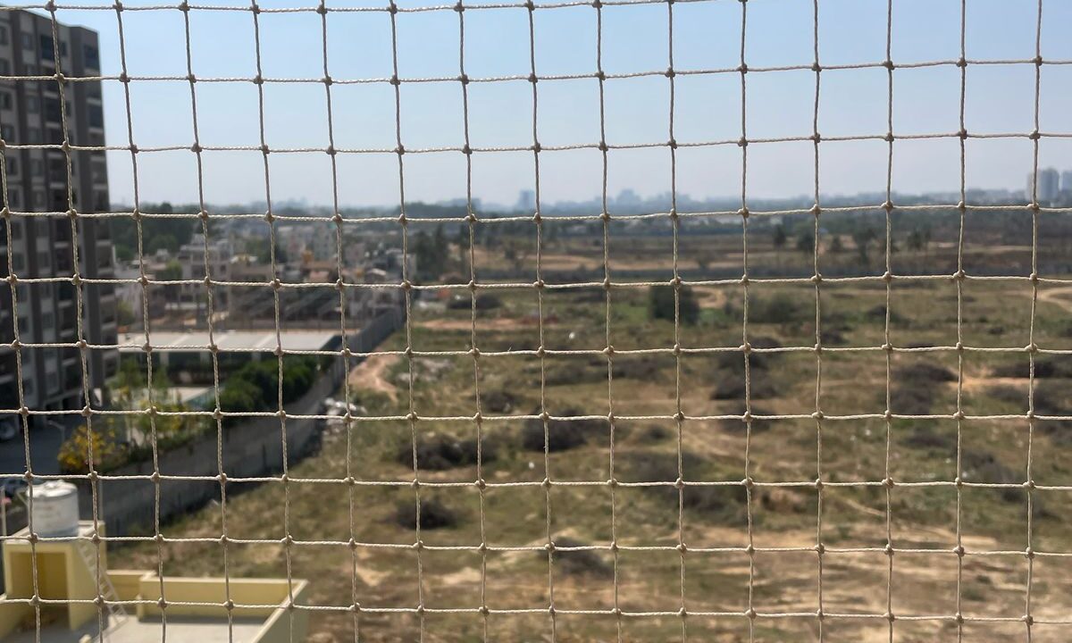 WhatsApp Image 2025-03-12 at 2.16.42 PM (1)