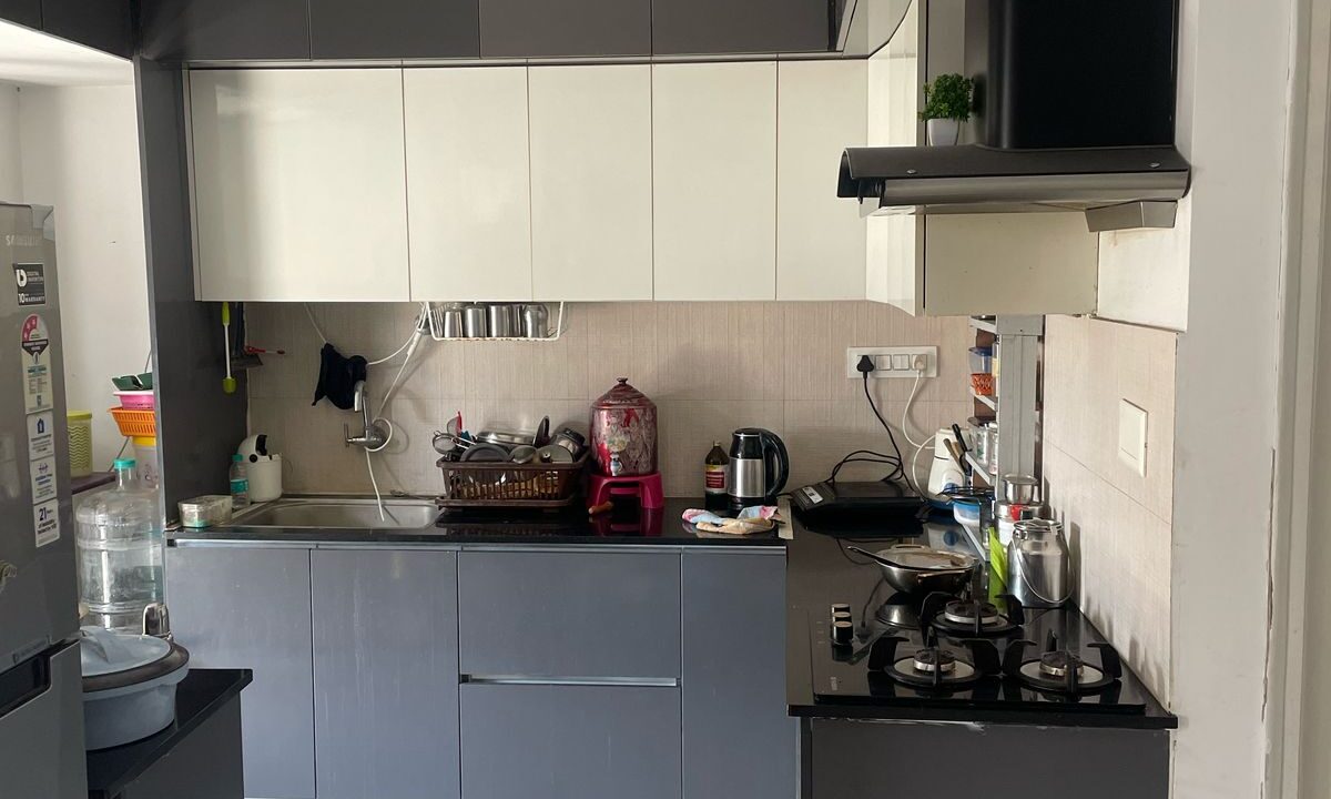 WhatsApp Image 2025-03-12 at 2.16.42 PM