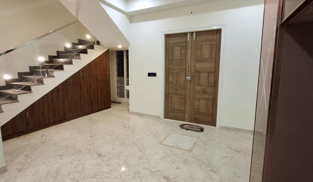 WhatsApp Image 2025-03-12 at 2.34.27 PM (1)