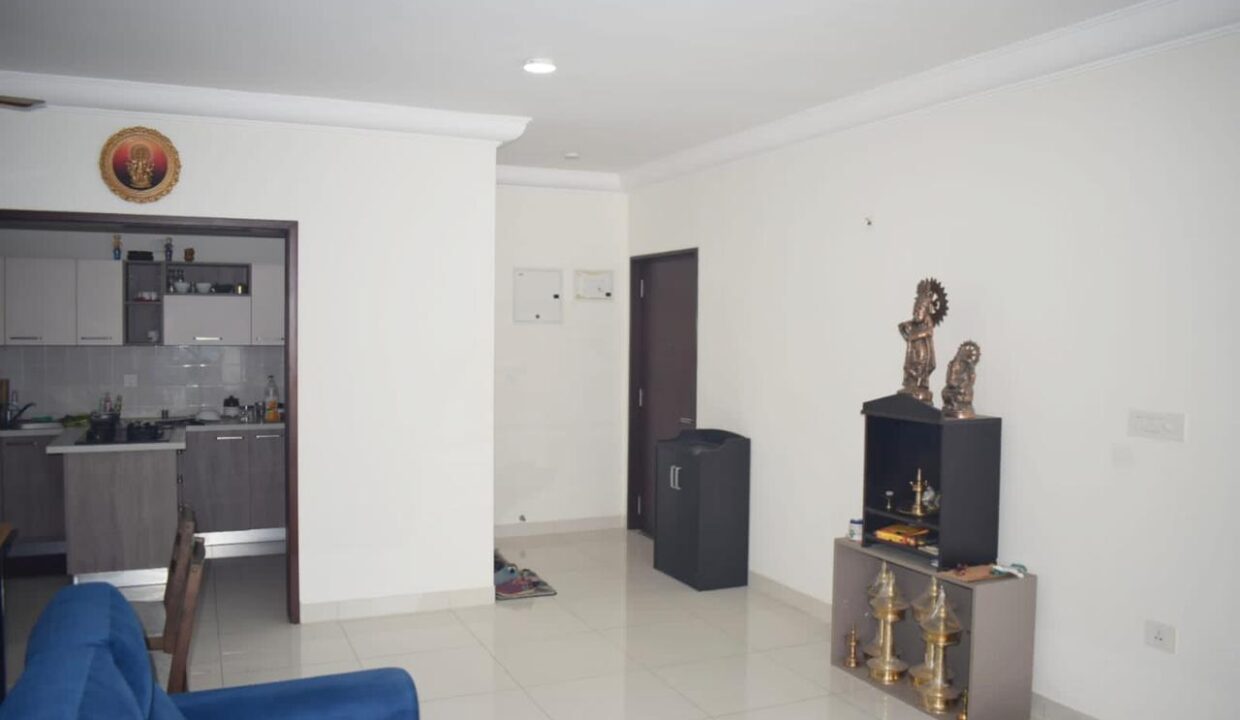 WhatsApp Image 2025-02-19 at 2.39.31 AM (2)