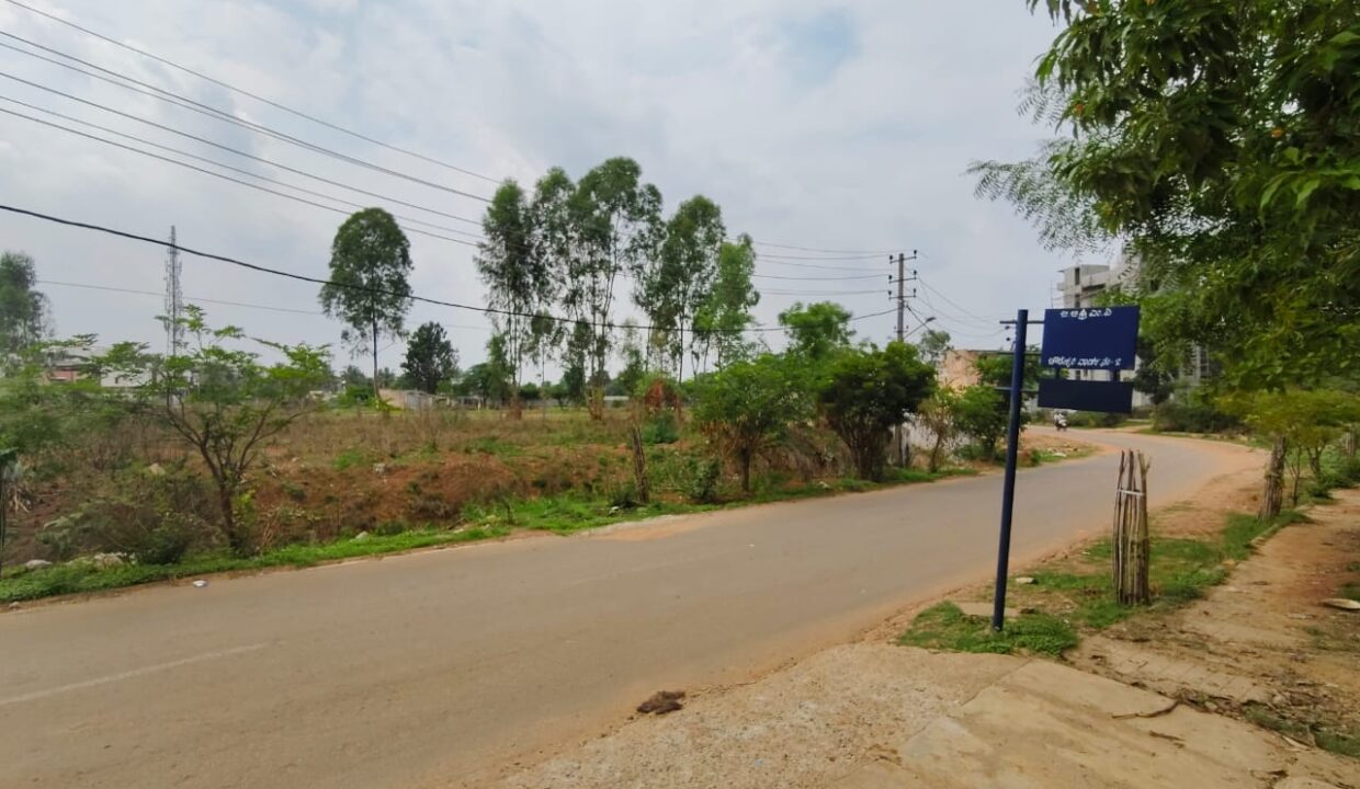 WhatsApp Image 2025-04-03 at 11.46.33