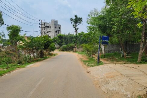 WhatsApp Image 2025-04-03 at 11.46.34 (1)