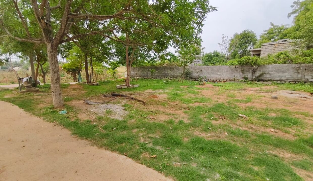 WhatsApp Image 2025-04-03 at 11.46.34