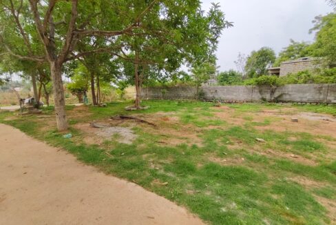 WhatsApp Image 2025-04-03 at 11.46.34