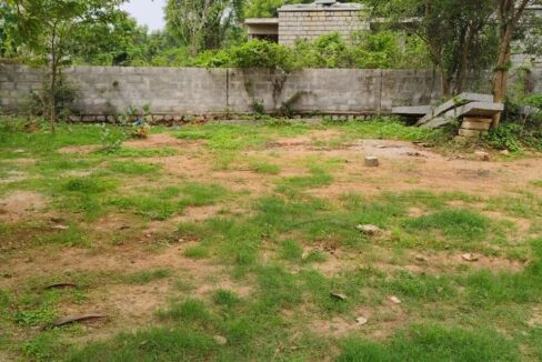 WhatsApp Image 2025-04-03 at 11.46.35 (1)