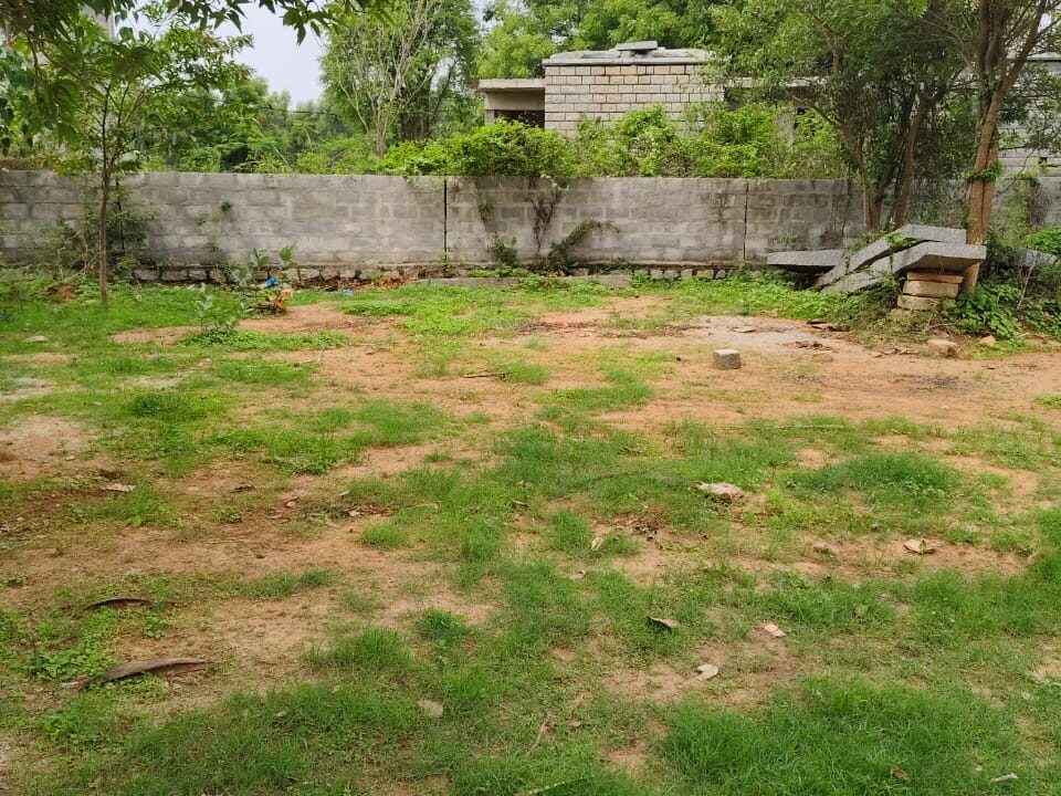 WhatsApp Image 2025-04-03 at 11.46.35 (1)