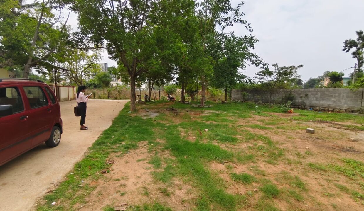 WhatsApp Image 2025-04-03 at 11.46.35