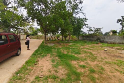 WhatsApp Image 2025-04-03 at 11.46.35