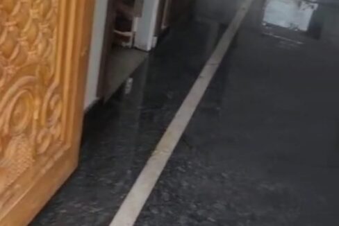 WhatsApp Image 2025-04-05 at 1.48.42 PM