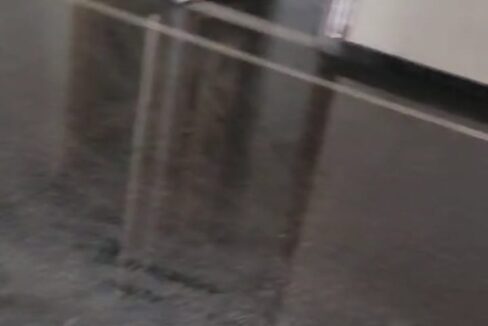 WhatsApp Image 2025-04-05 at 1.48.43 PM