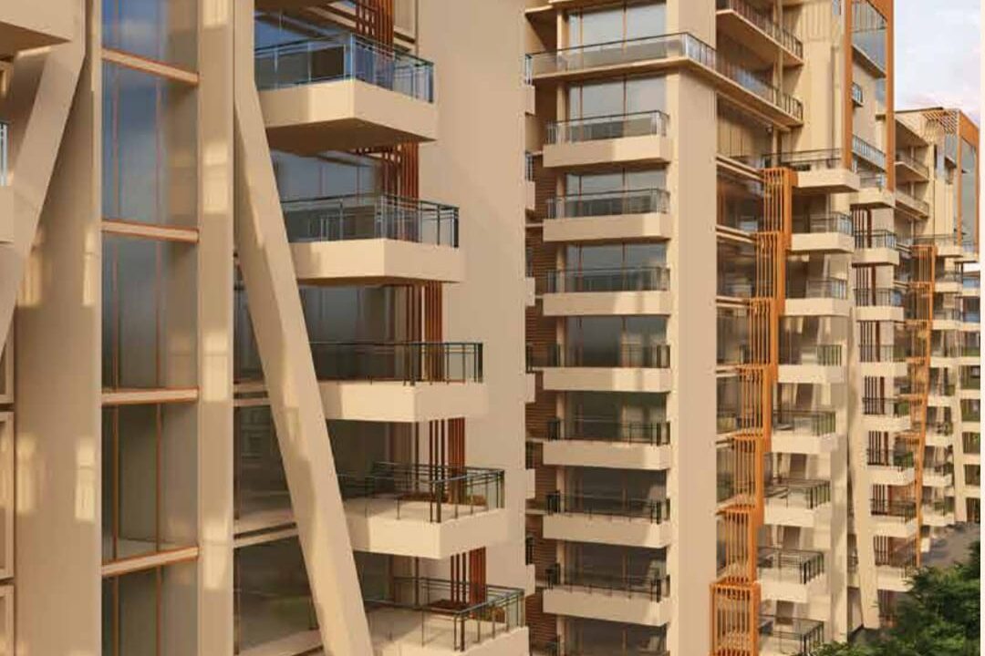 WhatsApp Image 2025-04-09 at 4.27.10 PM (1)