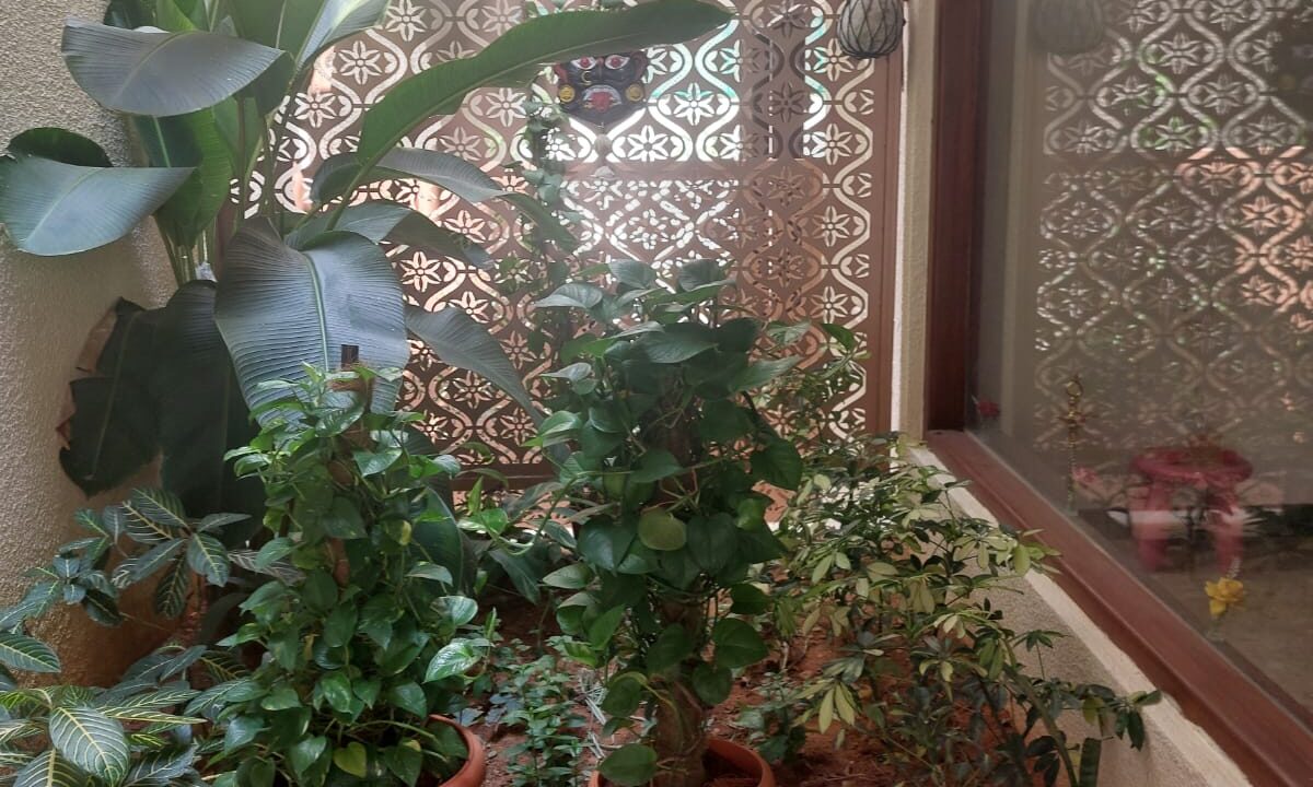 WhatsApp Image 2025-04-14 at 7.21.09 PM (1)