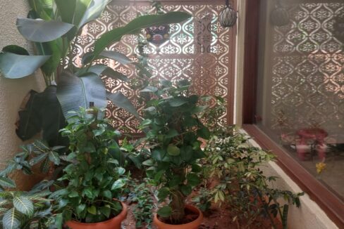 WhatsApp Image 2025-04-14 at 7.21.09 PM (1)