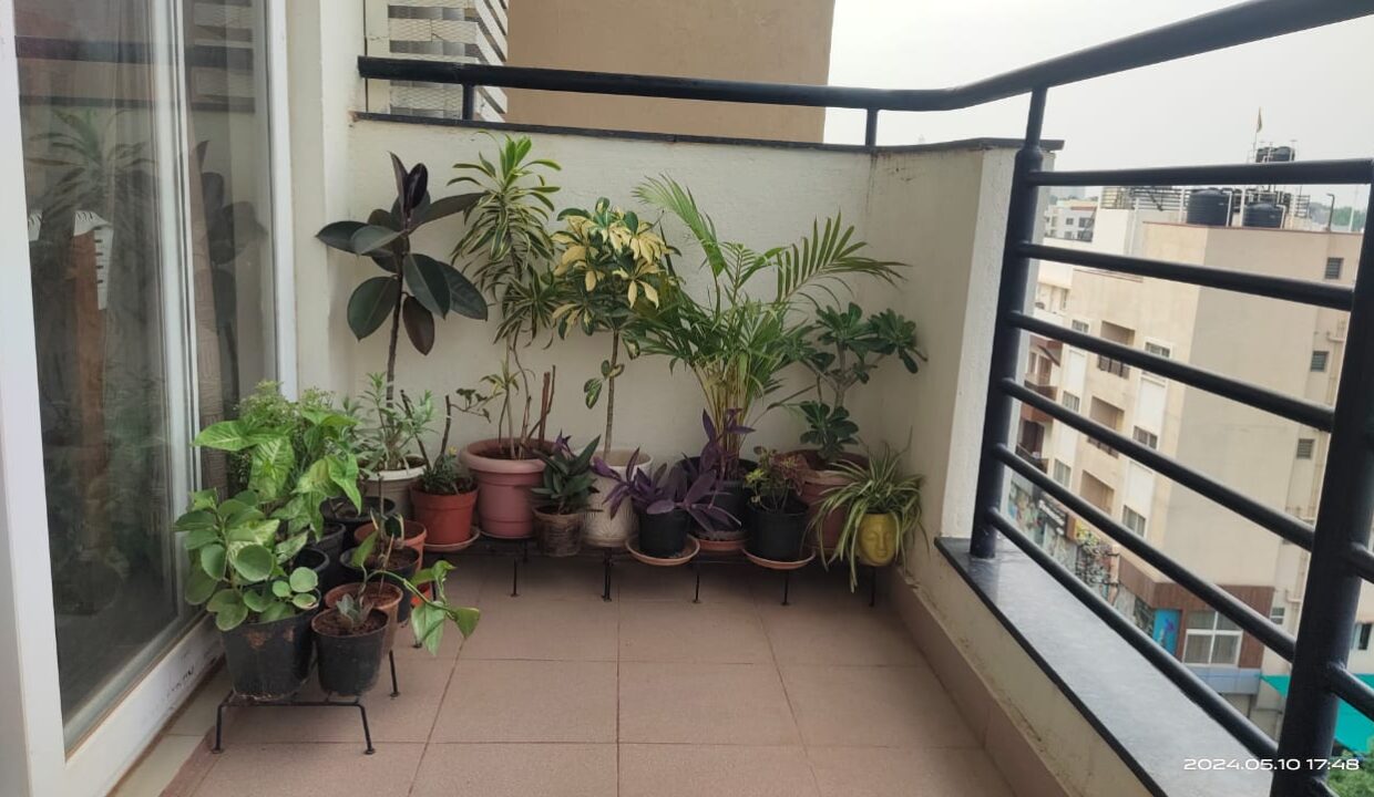 WhatsApp Image 2025-04-17 at 5.45.25 PM